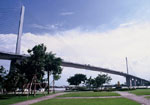 Rama IX Bridge Tenth Year Inspection